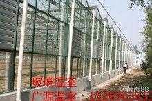 天津大华温室大棚建造厂