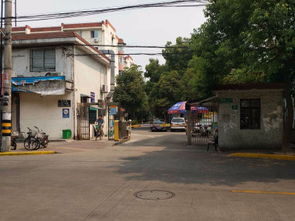 大华一村 华灵路460弄